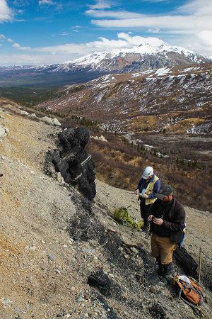 frontier-basins-tmh-coal-nenana