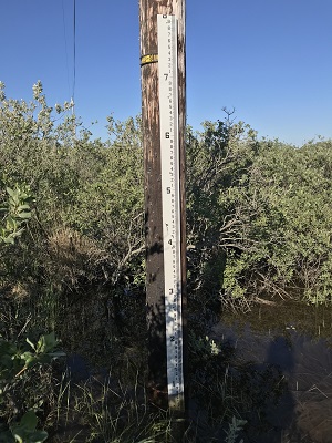 Quinhagak flood staff