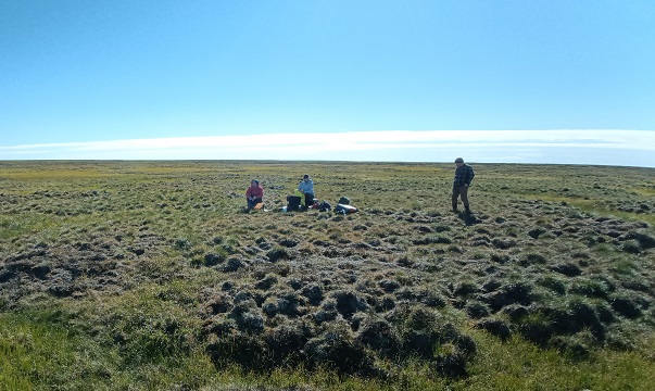 Geologic fieldwork in the proposed triangle road area, northwest Alaska