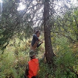 Field work Treasure Creek